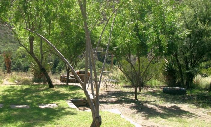 The Old School House Calitzdorp Exterior foto
